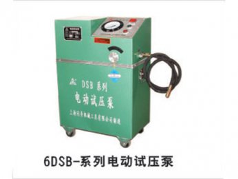 6DSB-系列艾弗森贝博ballbet官网压泵